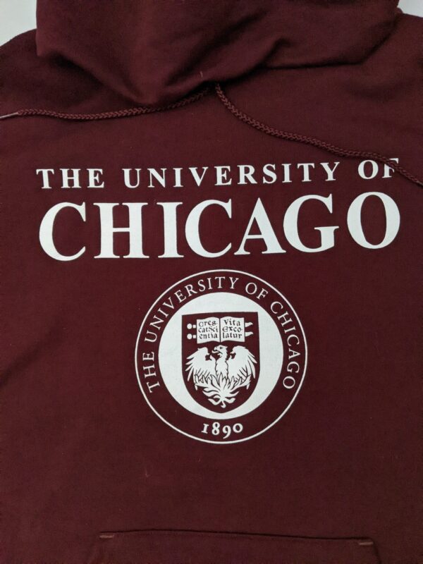 Y2K Champion University of Chicago Hoodie - Men's M